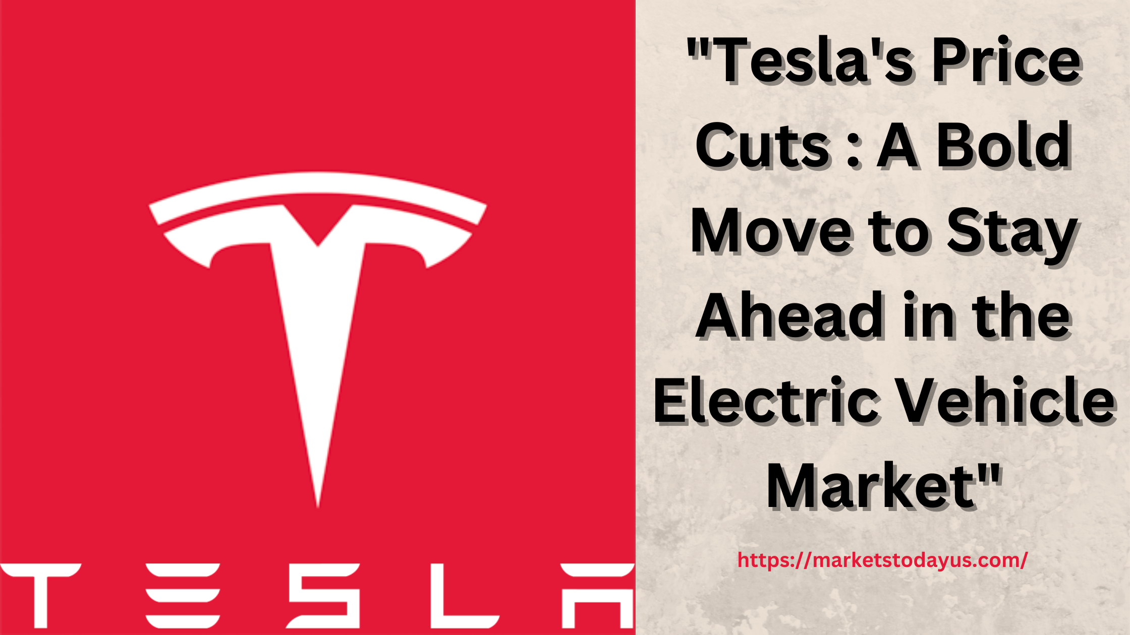 Tesla Price cut a bold move or suicide