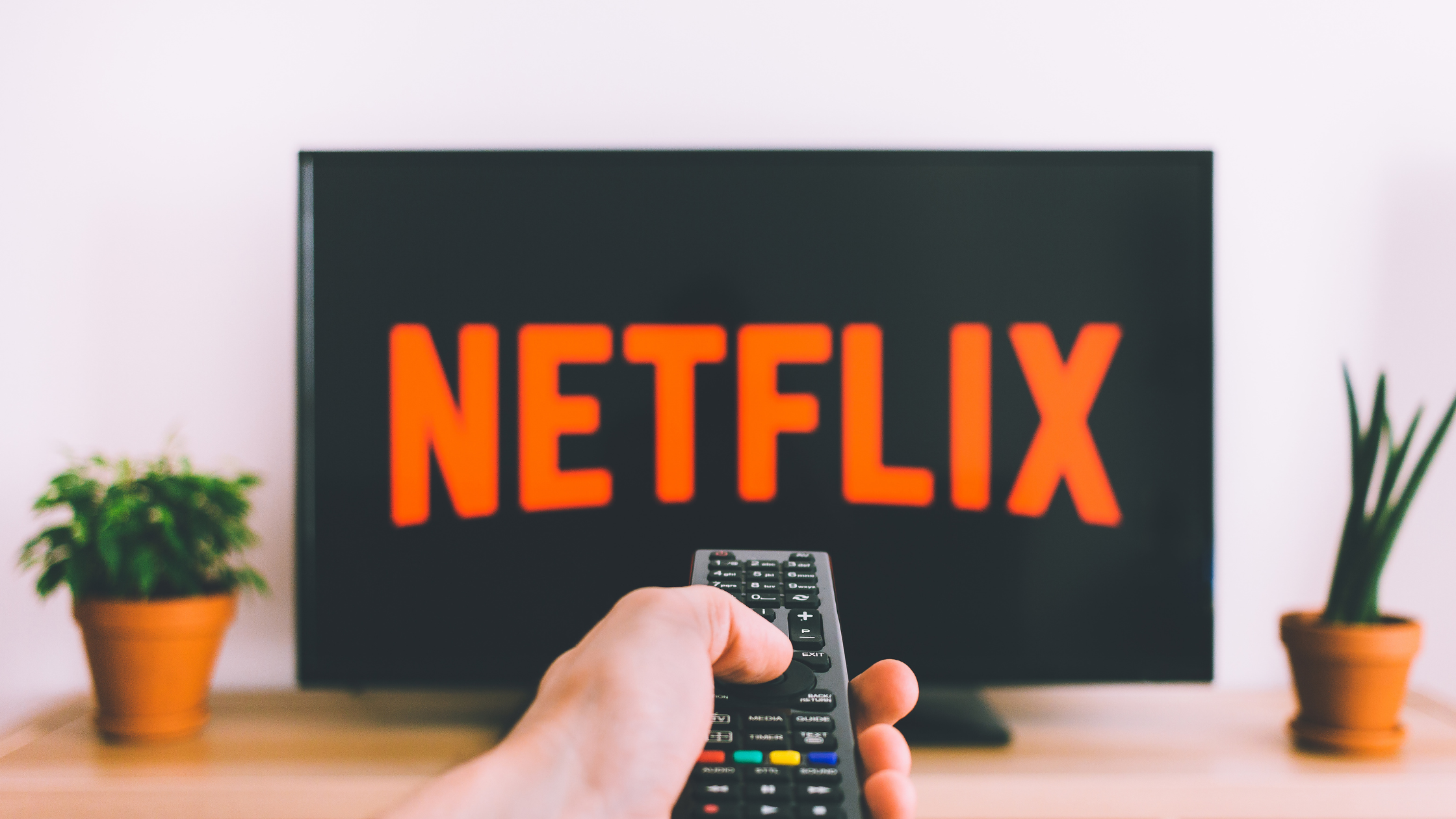 netflix all about company pro cons business model