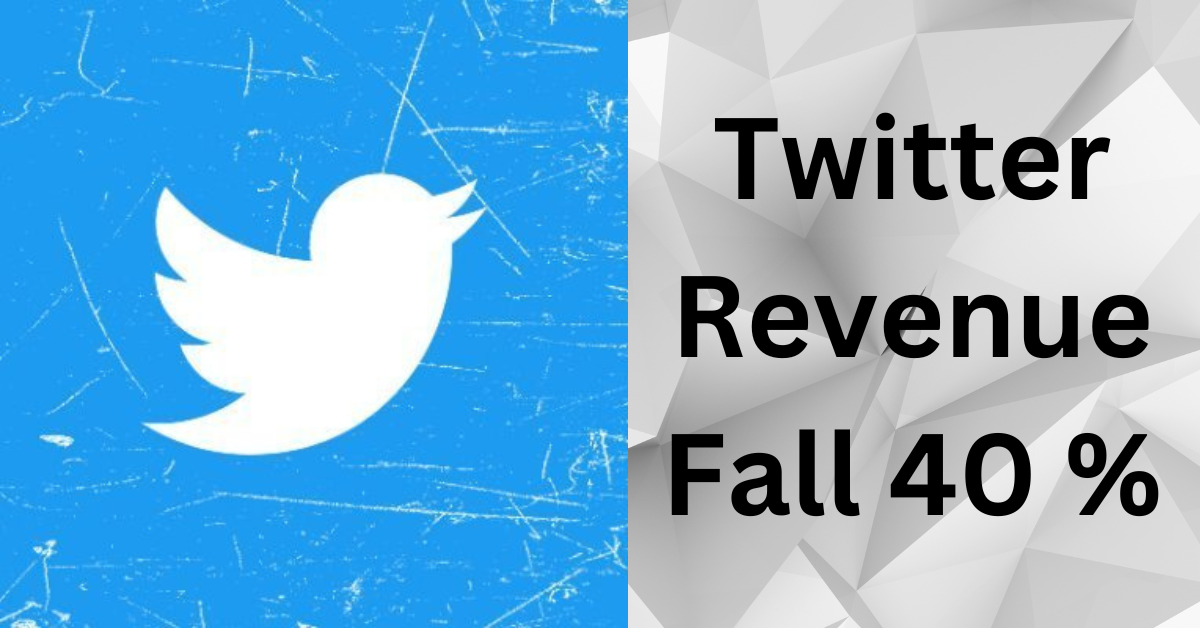 Twitter Revenue Fall 40